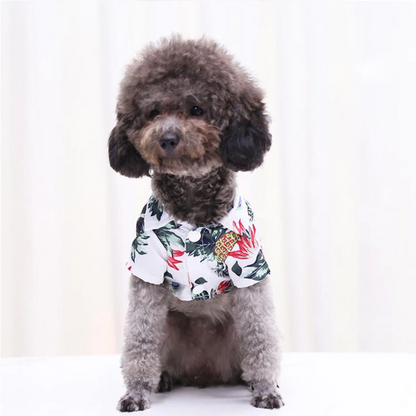 Hawaiian Pet Shirts - Stylish Summer Dog & Cat Shirts, Coconut Print