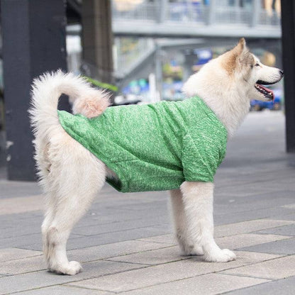 Large dog wearing green winter warm pet sweater outdoors
