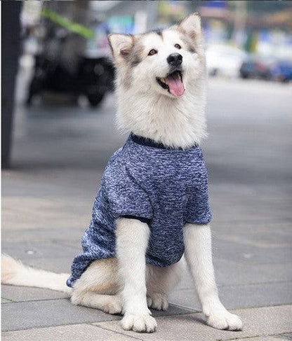 Large dog wearing navy blue winter warm pet sweater outdoors