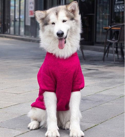 Large dog wearing a burgundy fleece winter warm pet sweater outdoors
