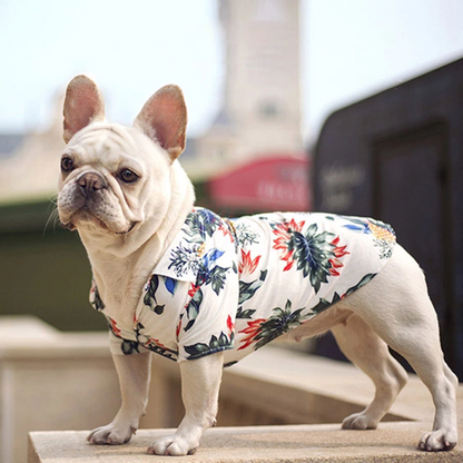 Hawaiian Pet Shirts - Stylish Summer Dog & Cat Shirts, Coconut Print