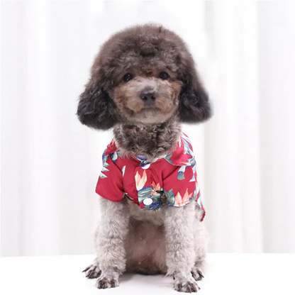 Hawaiian Pet Shirts - Stylish Summer Dog & Cat Shirts, Coconut Print