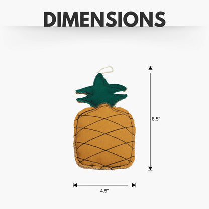 Country Living Canvas & Jute pineapple-shaped dog chew toy measuring 8.5 by 4.5 inches, durable and non-toxic