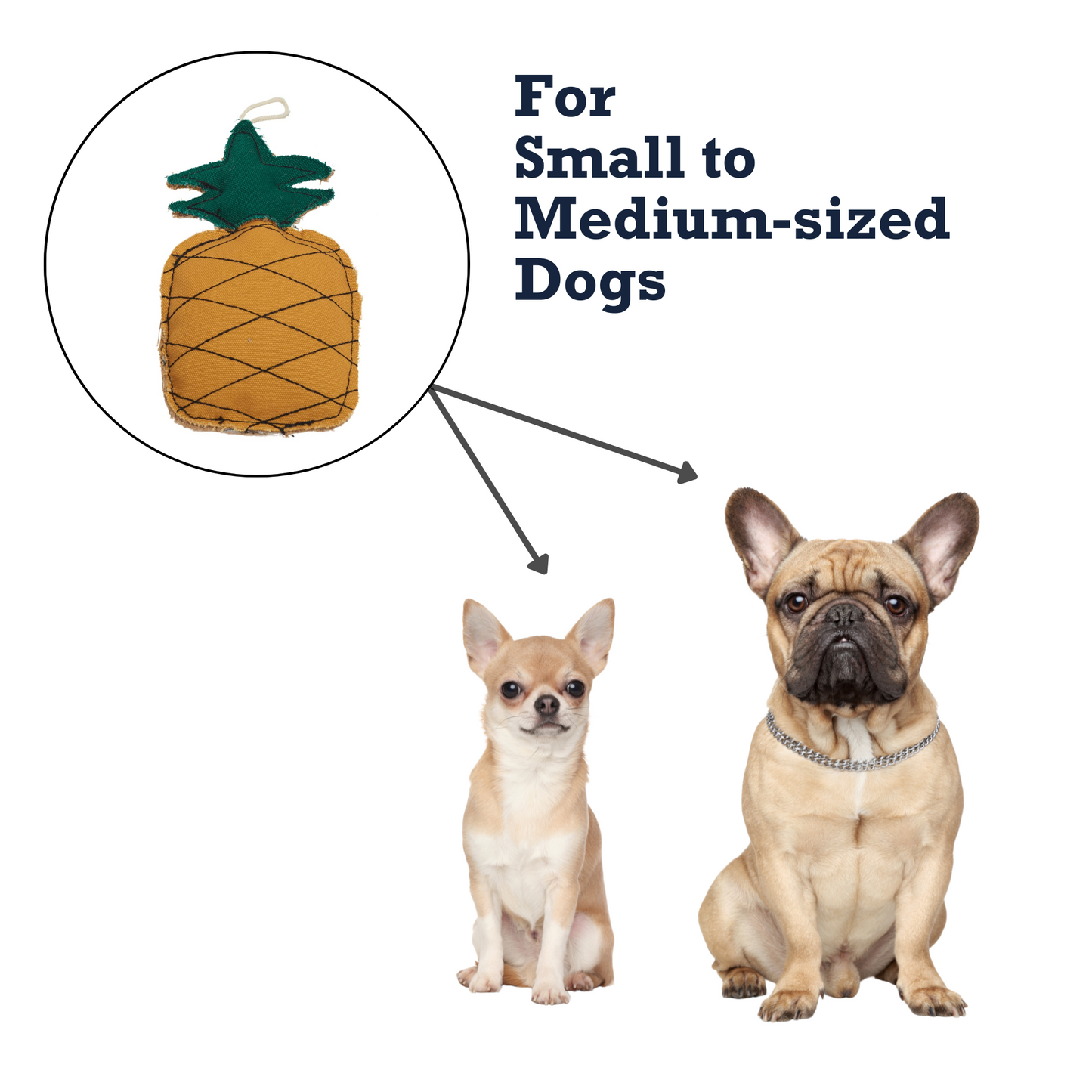 Country Living Canvas & Jute pineapple-shaped durable dog chew toy for small to medium dogs