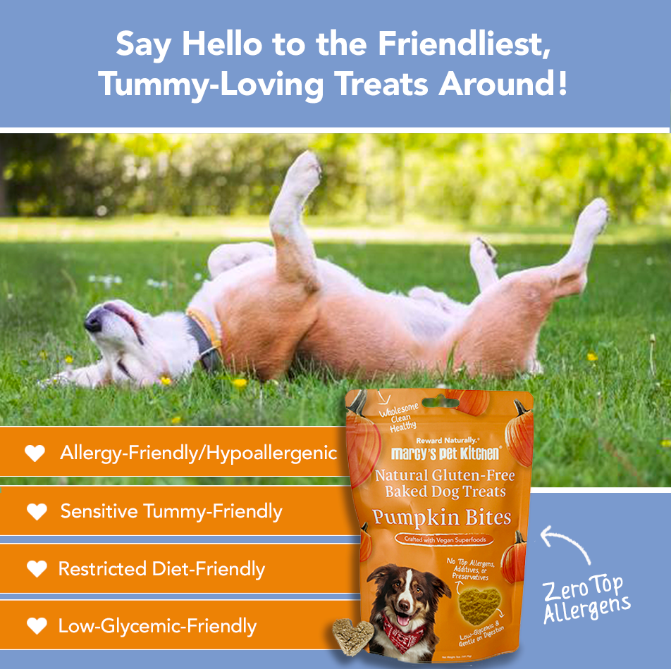 All Natural Vegan Pumpkin Dog Treats -Gluten-Free, Marcy's Pet Kitchen