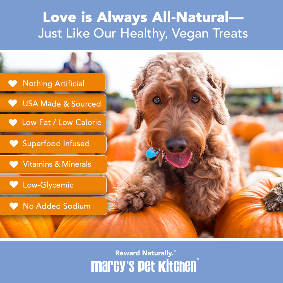 💥 Marcy's Pet Kitchen® - 'On-The-Go' All-Natural, Vegan Pumpkin Biscuit 1oz - 🚚+🛍️=2x!