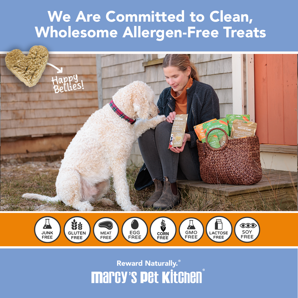 💥 Marcy's Pet Kitchen® - 'On-The-Go' All-Natural, Vegan Pumpkin Biscuit 1oz - 🚚+🛍️=2x!