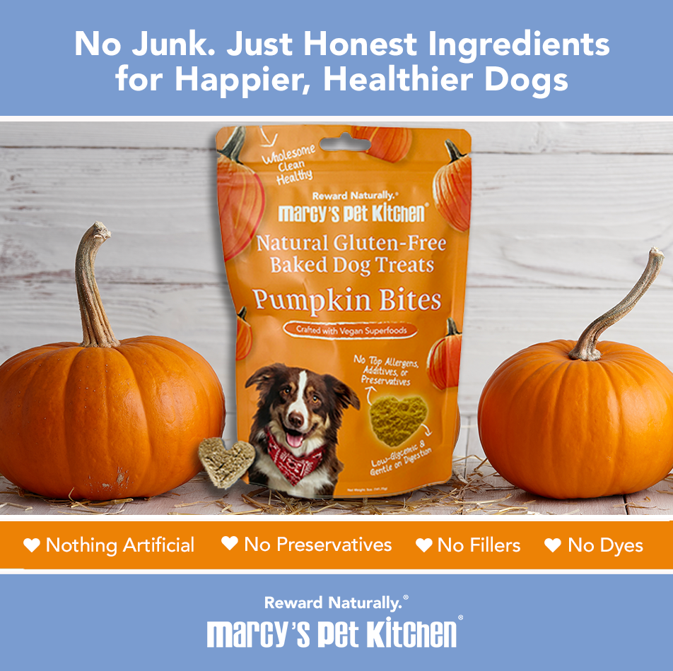 All Natural Vegan Pumpkin Dog Treats -Gluten-Free, Marcy's Pet Kitchen