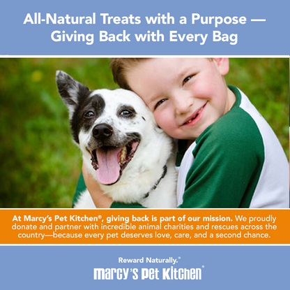 💥 Marcy's Pet Kitchen® - 'On-The-Go' All-Natural, Vegan Pumpkin Biscuit 1oz - 🚚+🛍️=2x!