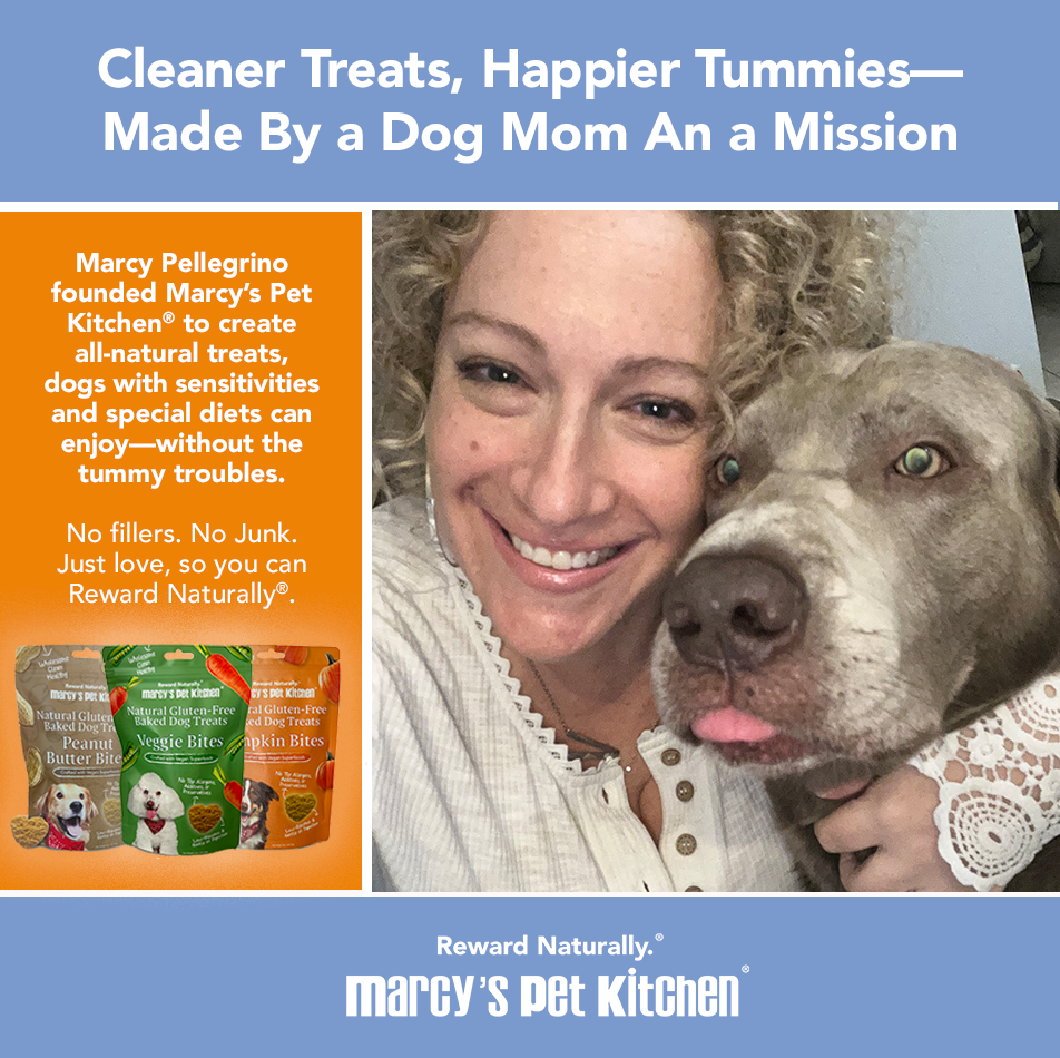 All Natural Vegan Pumpkin Dog Treats -Gluten-Free, Marcy's Pet Kitchen