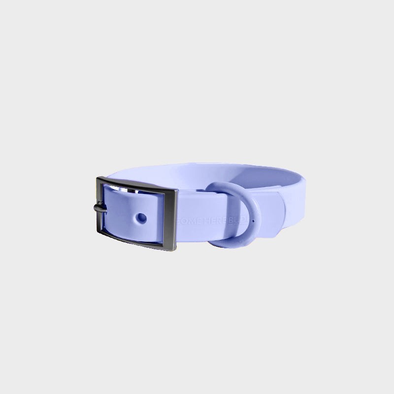 Everyday Collar - Durable, Comfortable Pet Collar for All Weather Use
