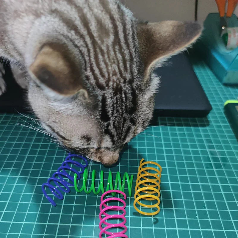 Colorful Cat Spring Toys - Durable Coil Play for Kittens