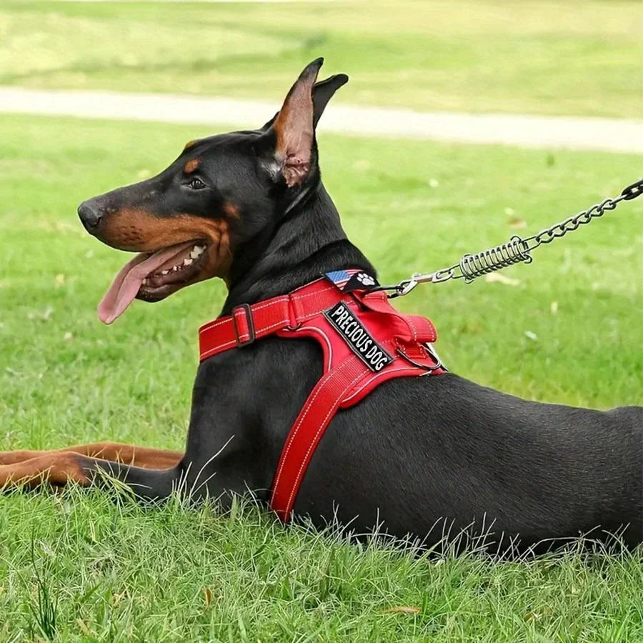 Reflective adjustable service dog harness and leash set with folding bowl, padded soft Oxford material for small dogs