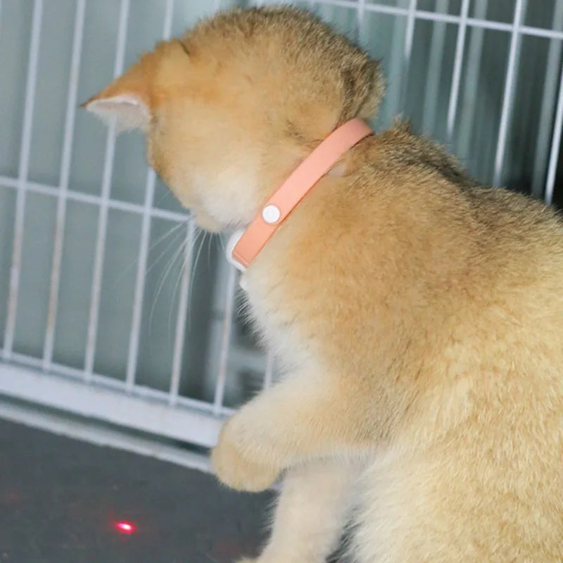 Smart Laser Cat Teaser Collar - Rechargeable Infrared Interactive Toy