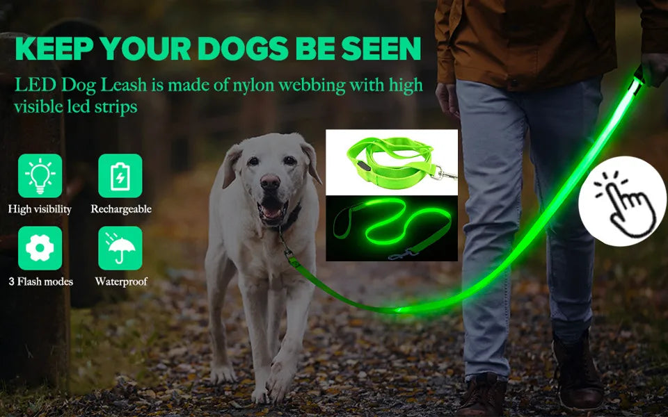USB Rechargeable LED Glowing Dog Collar – Adjustable Night Safety