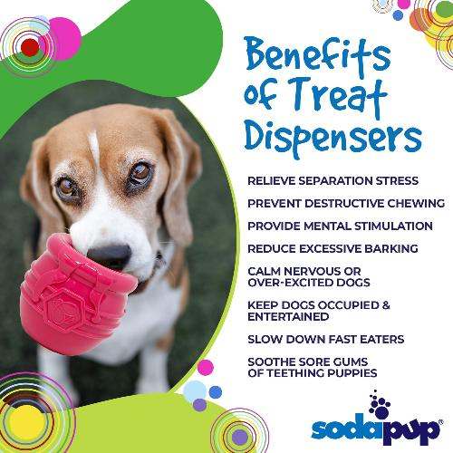 Dog playing with Honey Pot Dog treat dispenser, durable rubber enrichment toy for mental stimulation and slow feeding