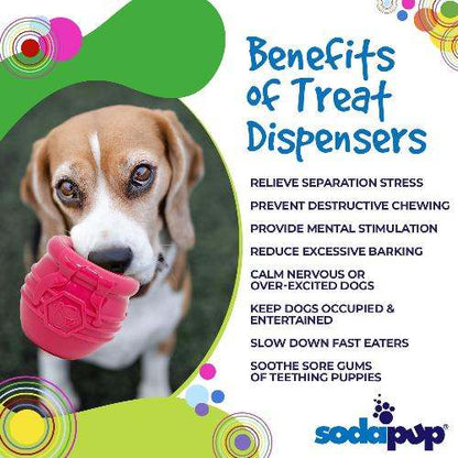 Dog playing with Honey Pot Dog treat dispenser, durable rubber enrichment toy for mental stimulation and slow feeding