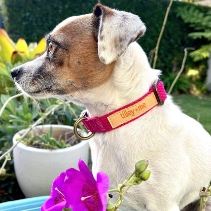 Malibu Sunset Sustainable Hemp Cotton Adjustable Dog Collar 