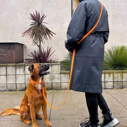 Brown dog wearing orange PVC dog collar with matching leash held by person in raincoat outdoors