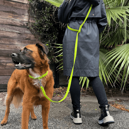 Brown dog wearing neon green PVC dog collar with matching leash held by person in black raincoat outdoors