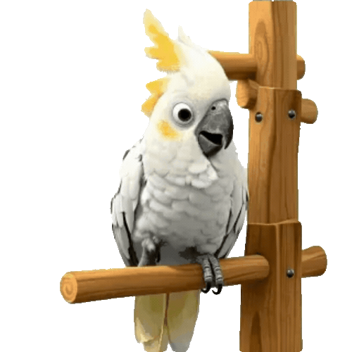 Animated Cockatoo Sticker Pack — 10 GIF Stickers | Instant Digital Download
