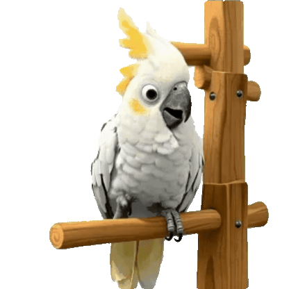 Animated Cockatoo Sticker Pack — 10 GIF Stickers | Instant Digital Download