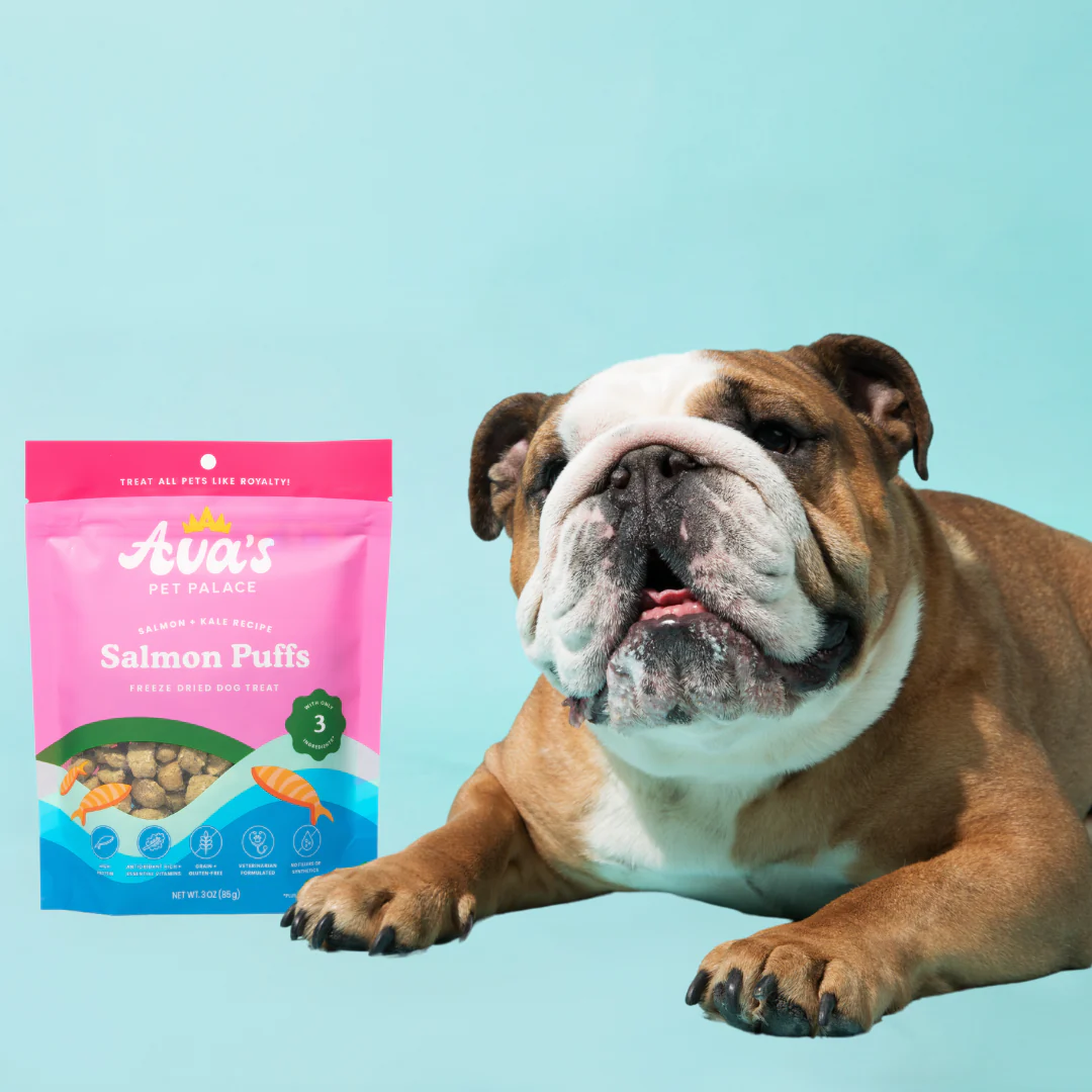 Ava's Pet Palace freeze dried salmon puffs dog treats with kale and flaxseed alongside a resting bulldog on blue background