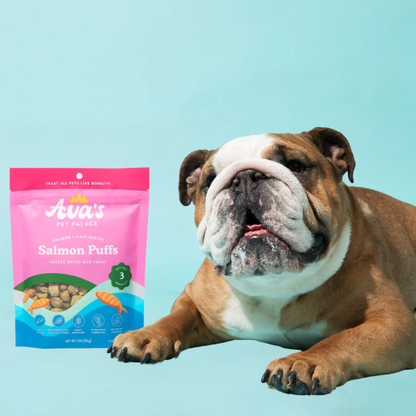 Ava's Pet Palace freeze dried salmon puffs dog treats with kale and flaxseed alongside a resting bulldog on blue background