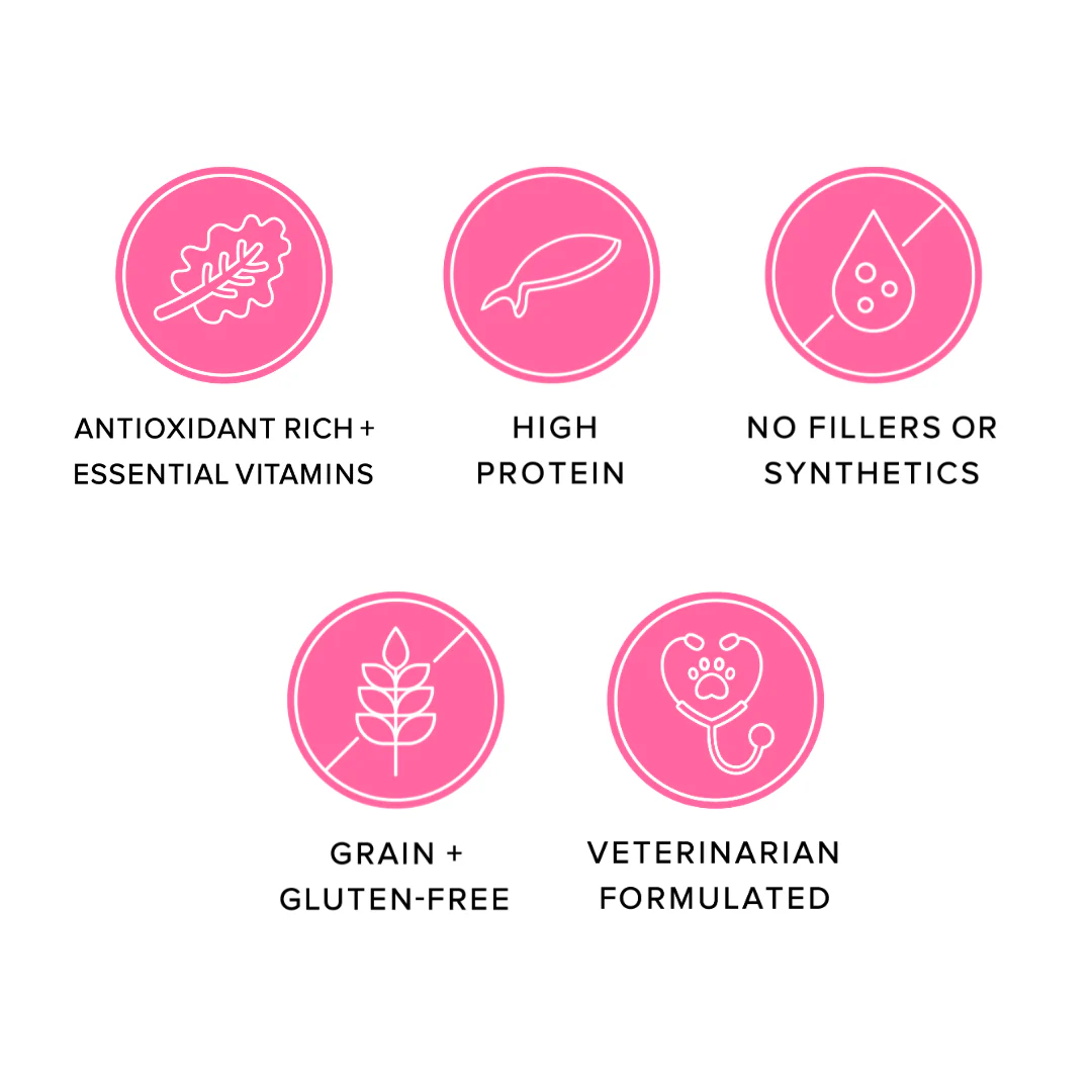 Ava's Pet Palace freeze dried Salmon Puffs dog treats with high protein, antioxidants, no fillers, grain-free, veterinarian formulated