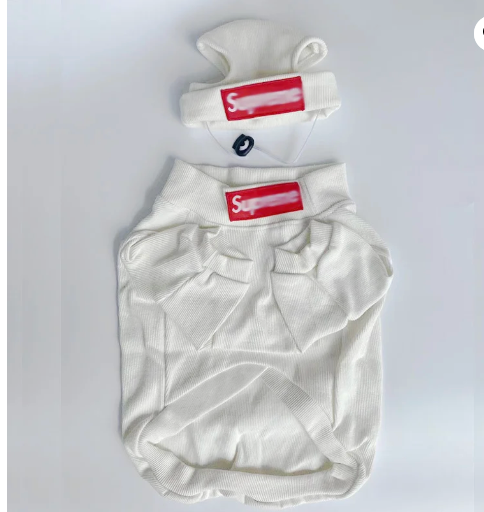 White pet clothing set with undercoat and hat, street fashion style for small dogs