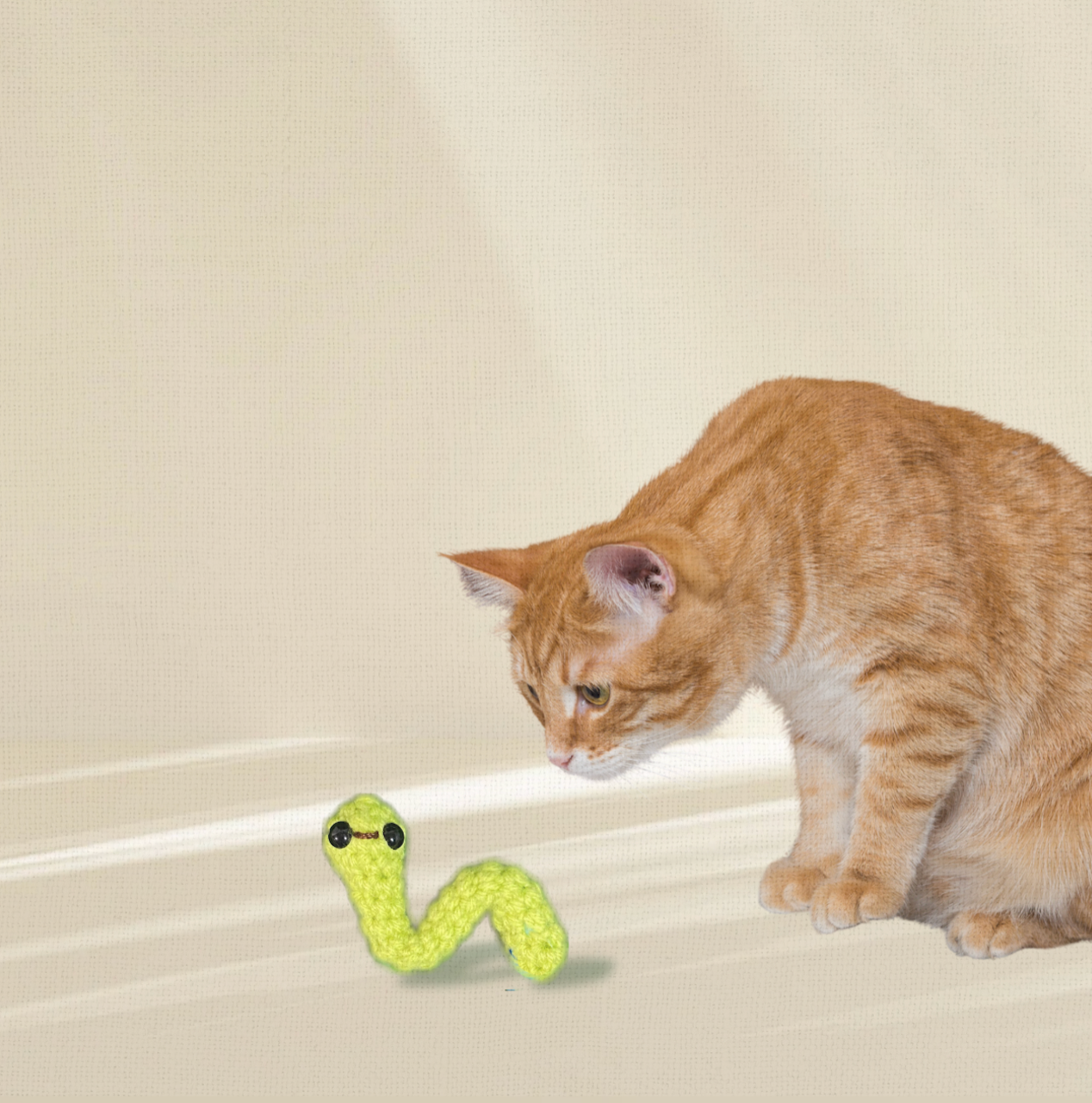 Noodle the Inchworm | Lightweight Cat Toy for Active Play Stimulation