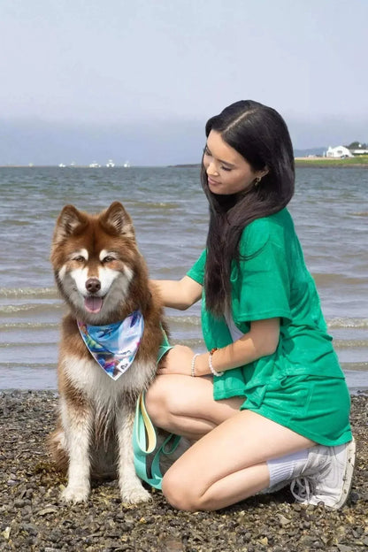 Dog wearing vibrant sea turtle swim bandana sitting by the water with woman in green shirt