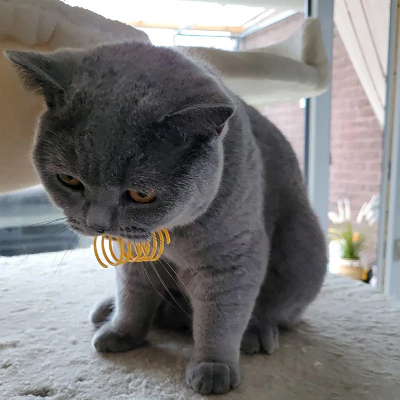 Colorful Cat Spring Toys - Durable Coil Play for Kittens