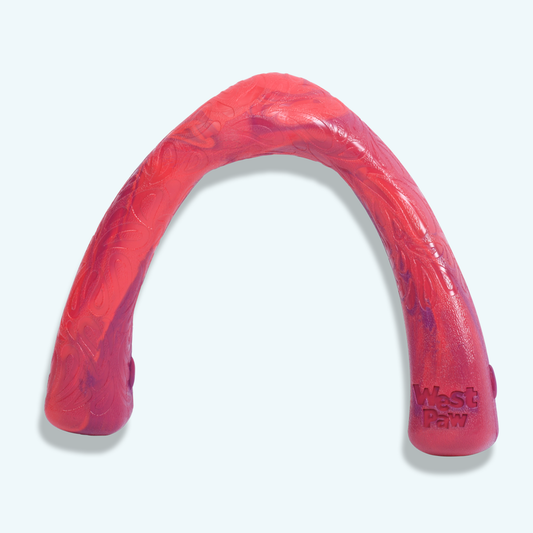 Snorkl dog toy designed for moderate chewers with fun tug shape for interactive play