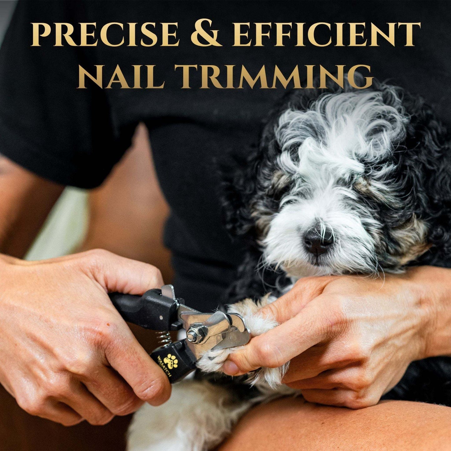 Dog nail clippers with ergonomic grip, sharp stainless steel blades, and included nail file for precise trimming and smoothing