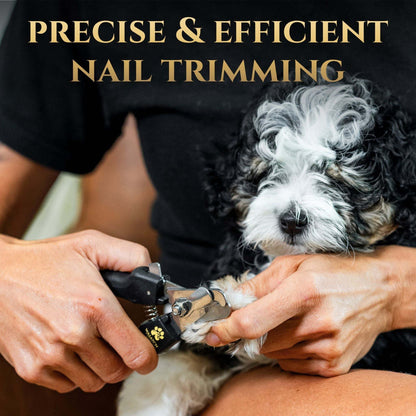 Dog nail clippers with ergonomic grip, sharp stainless steel blades, and included nail file for precise trimming and smoothing