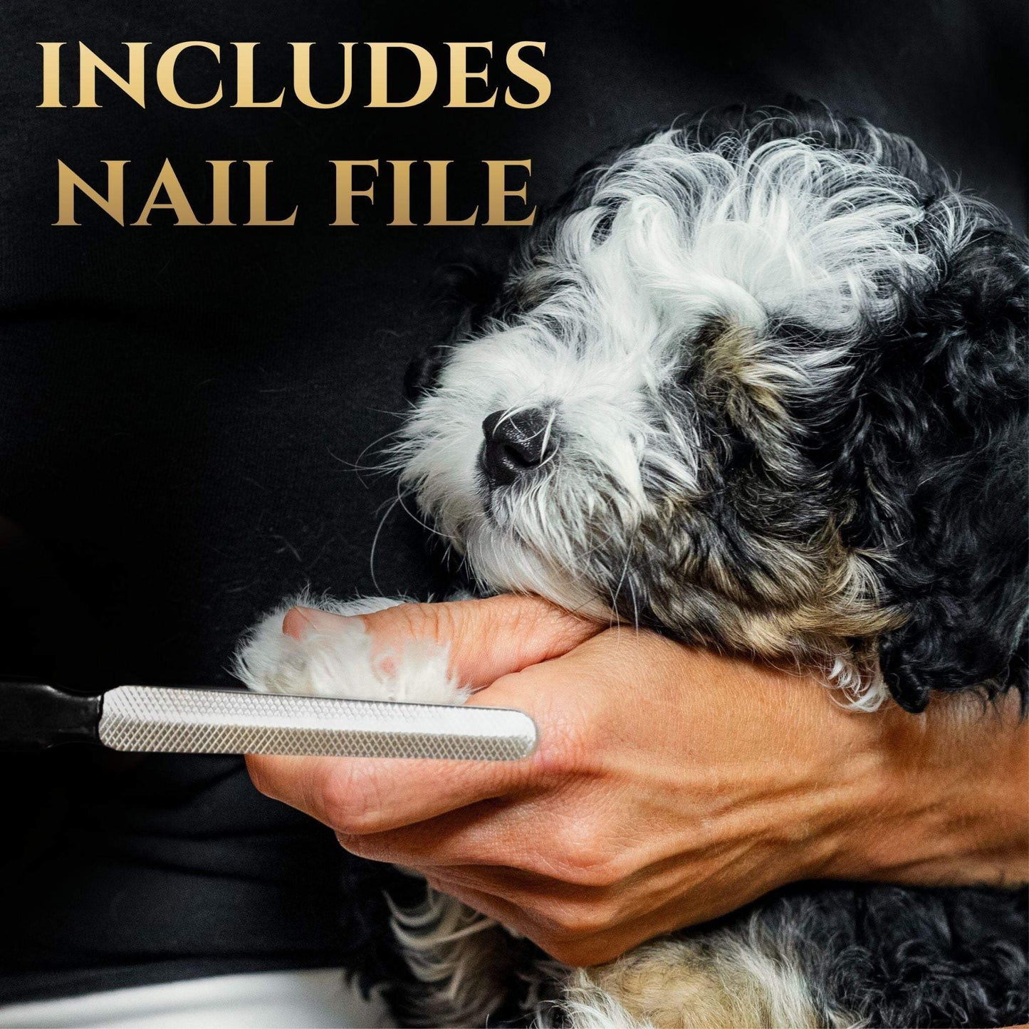Ergonomic stainless steel nail clippers with safety features and bonus nail file for dog grooming