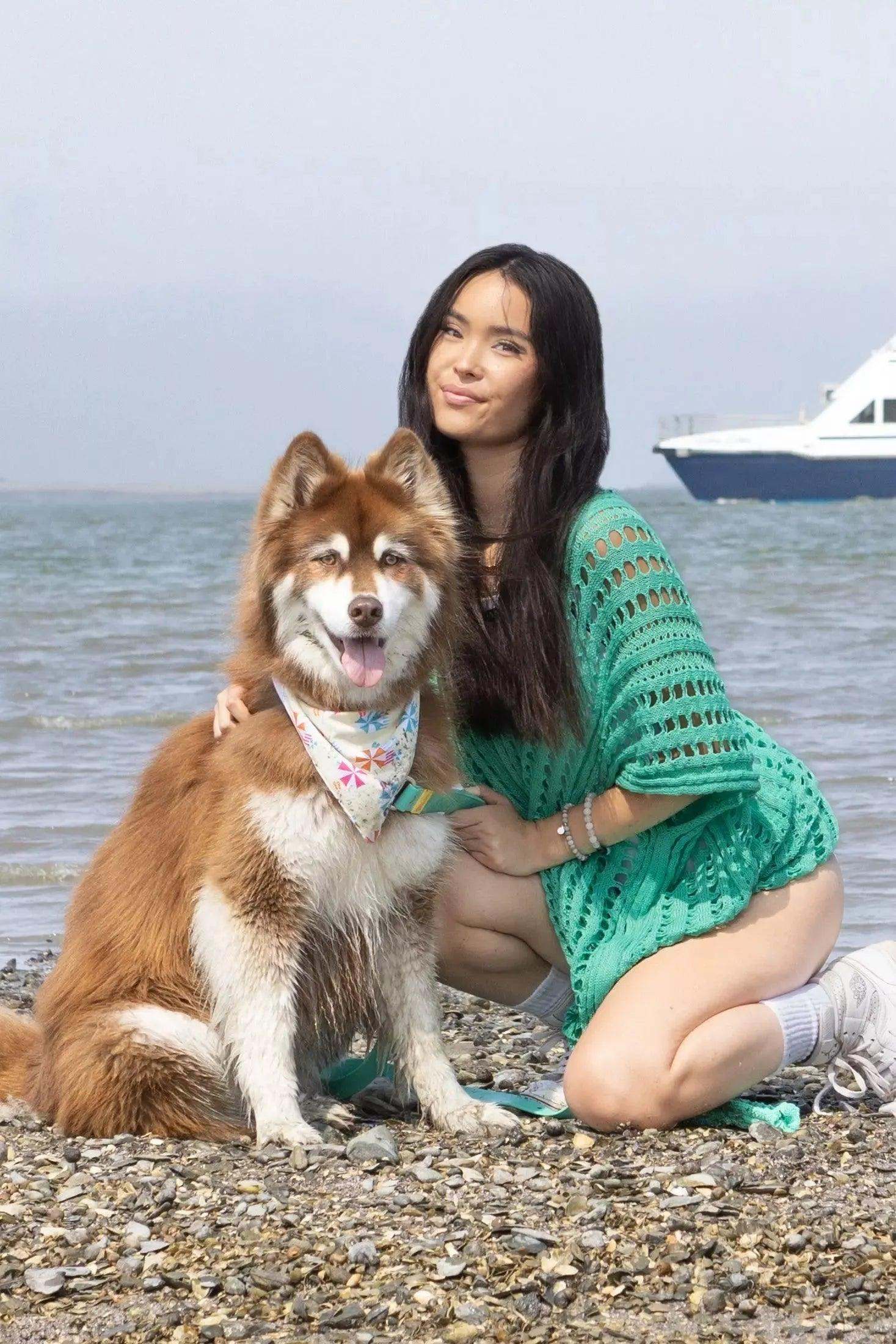 Dog wearing colorful Sun & Shade Dog Bandana sitting on pebbled beach with woman in green dress and boat in background