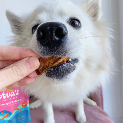 Dog eating Ava's Pet Palace Snappin' Salmon single-ingredient wild-caught salmon jerky treatA dog enjoying Ava's Pet Palace crunchy wild Sockeye salmon dog treat close-up
