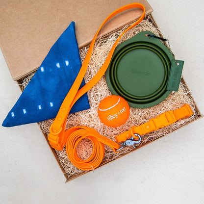 Orange PVC dog collar with matching leash, green collapsible dog bowl, orange tennis ball, and blue bandana in gift box