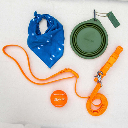 Green collapsible pet bowl with clip alongside orange leash, orange ball, and blue dog bandana on white background