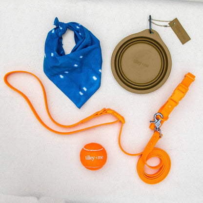 Collapsible pet bowl with clip alongside orange dog leash, ball, and blue bandana on light background