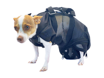 Pet Grooming Bag for Cats or Small Dogs – Durable, Secure, Easy to Use