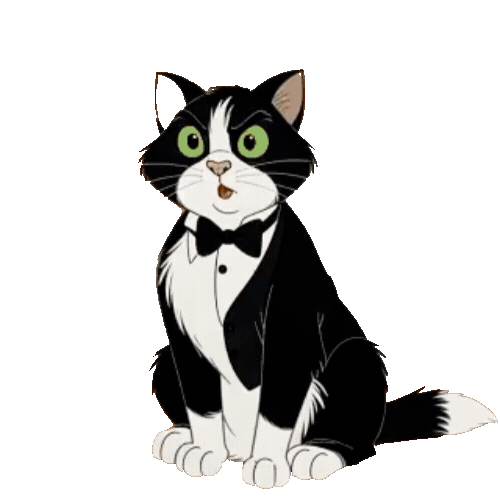 Animated Tuxedo Cat Sticker Pack — 10 GIF Stickers | Instant Digital Download