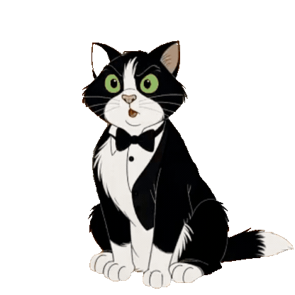 Animated Tuxedo Cat Sticker Pack — 10 GIF Stickers | Instant Digital Download