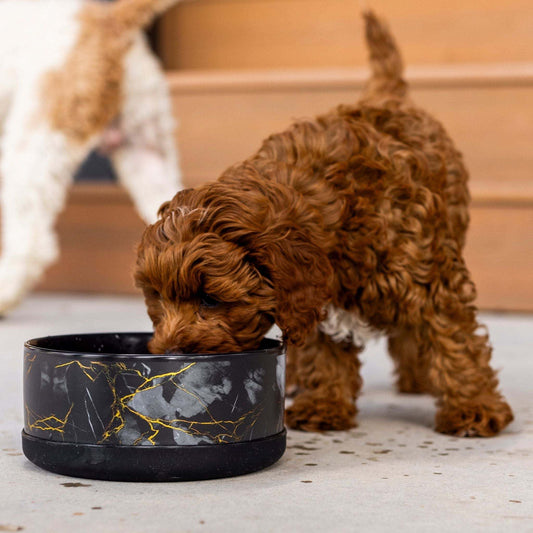 Limited Edition Ceramic Bowl | Elegant Black & Gold Marble Design