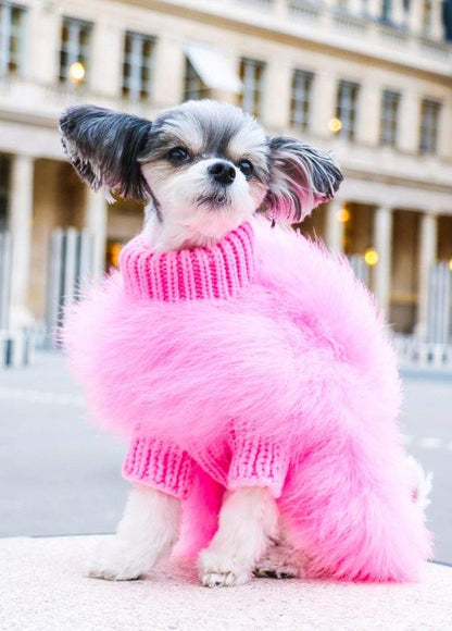 Blue and pink haute couture feathered luxury pet sweaters for small to medium dogs and cats