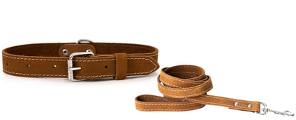 Pro Line Hunting Leather Collar and Leash Set with full-grain leather and European steel design