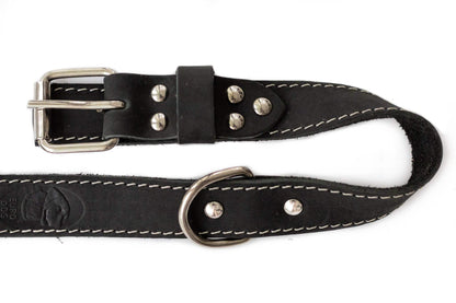 Pro Line Hunting Leather Collar and matching leash set with full-grain American leather and European steel