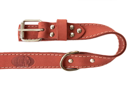 Pro Line Hunting Leather Collar and Leash Set in full-grain leather with European steel details